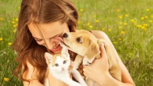 Descubre si tu perro es feliz o vive con estrés
